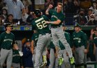 Australia Baseball Fans: How MLB Is Gaining Popularity