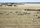 Australia Push for Carbon Neutrality: Whats Next?
