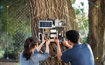 Australia AI for Social Good: Key Projects