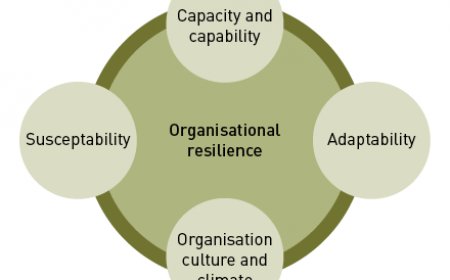 Australia Organizational Resilience: Key Trends for 2025