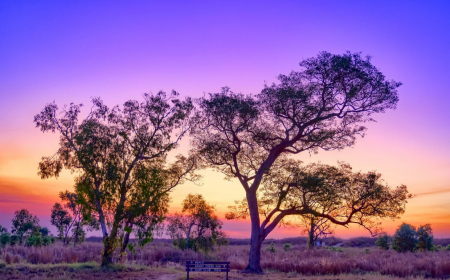 Australia Environmental Policy: Key Changes in 2025