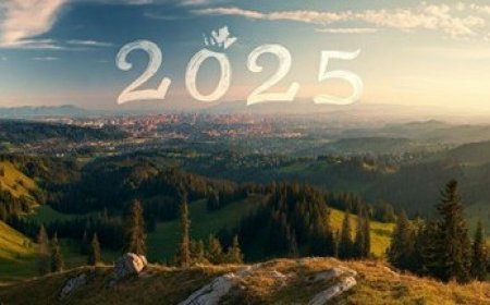 Australia Climate Finance Trends for 2025