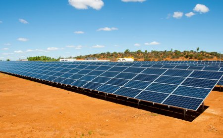 Australia Green Technology: Whats Changing the Game