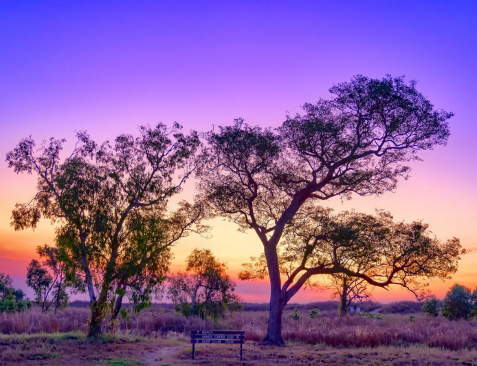 Australia Environmental Policy: Key Changes in 2025