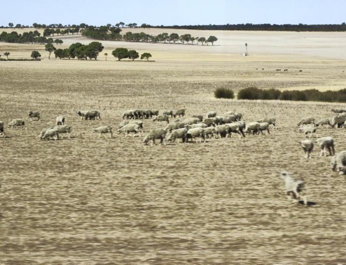 Australia Push for Carbon Neutrality: Whats Next?